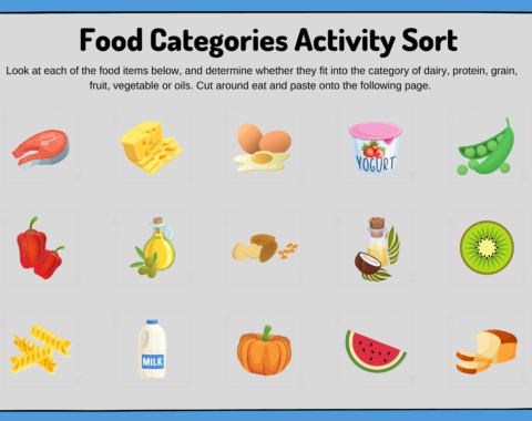 Food Categories PDF